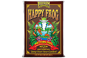 Happy Frog