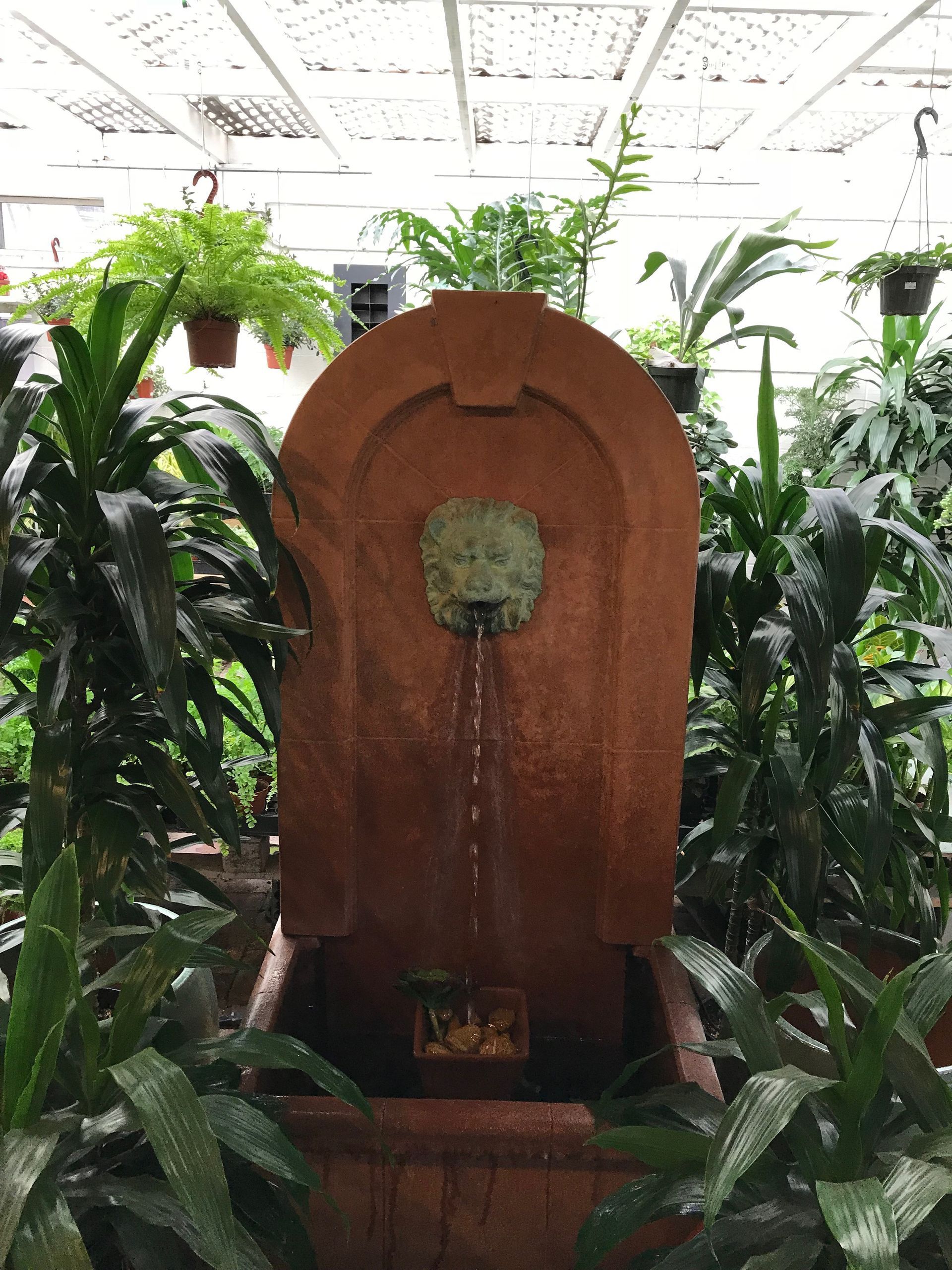 Water fountain with lion's head spout, surrounded by lush green plants in a greenhouse setting.