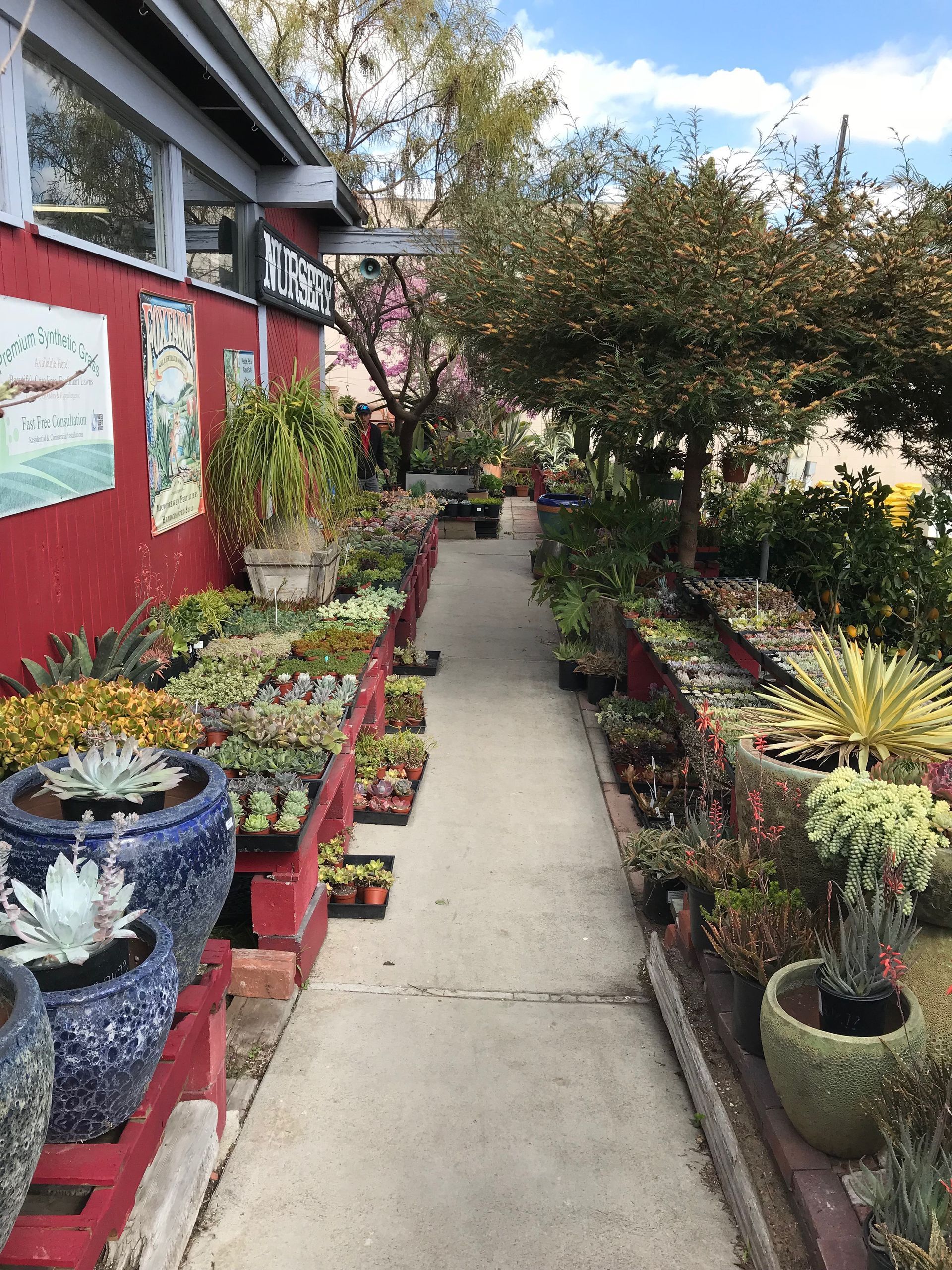 A narrow pathway lined with potted plants and succulents in an outdoor garden setting.