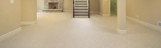 Carpeted basement floor