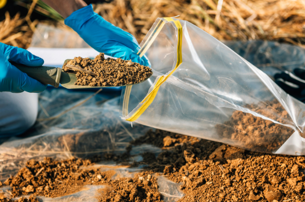 Gloved hands pouring soil into a clear plastic sample bag outdoors