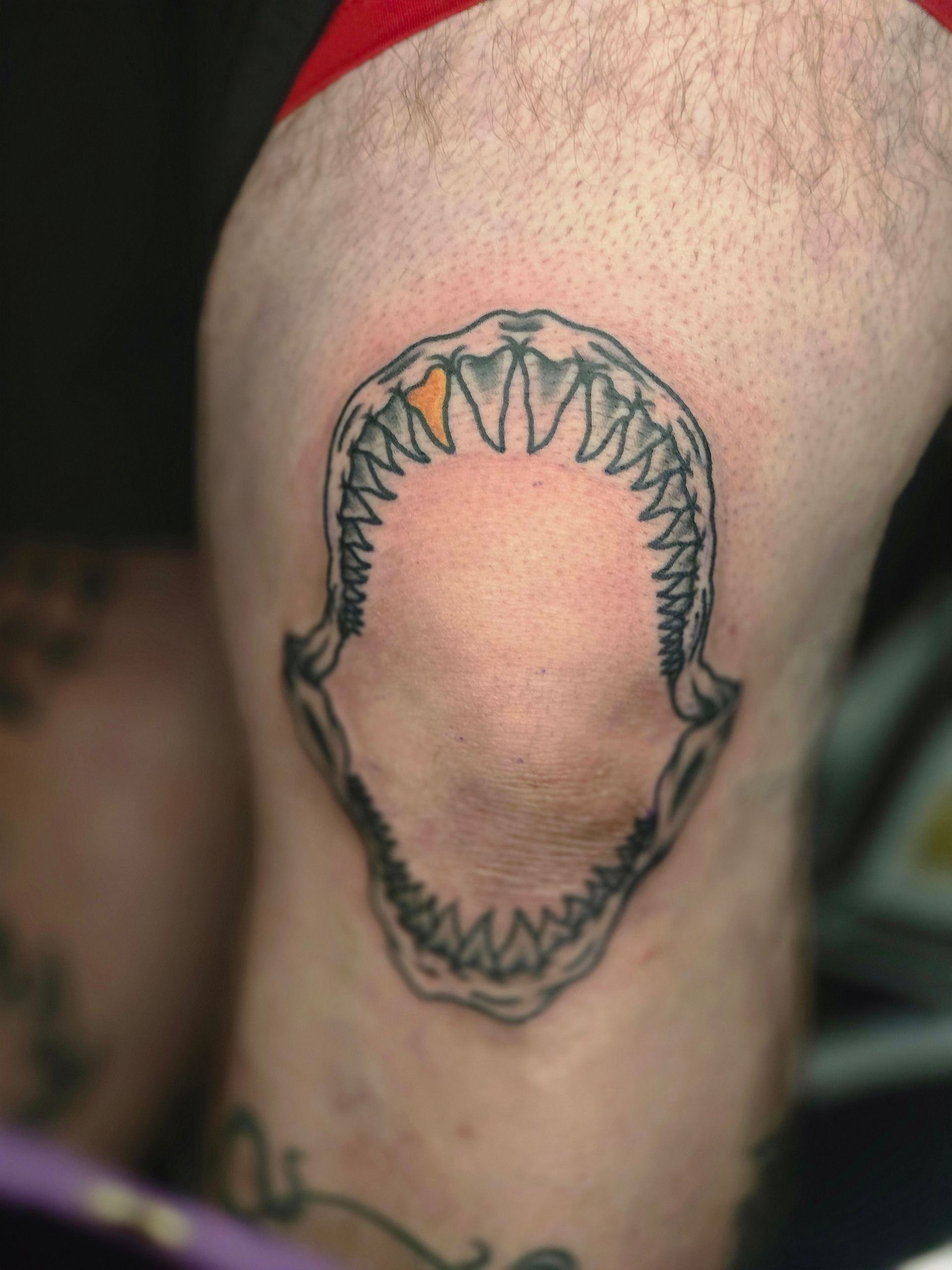 Tattoo of shark jaws on a knee, with sharp teeth and an orange-colored tooth.