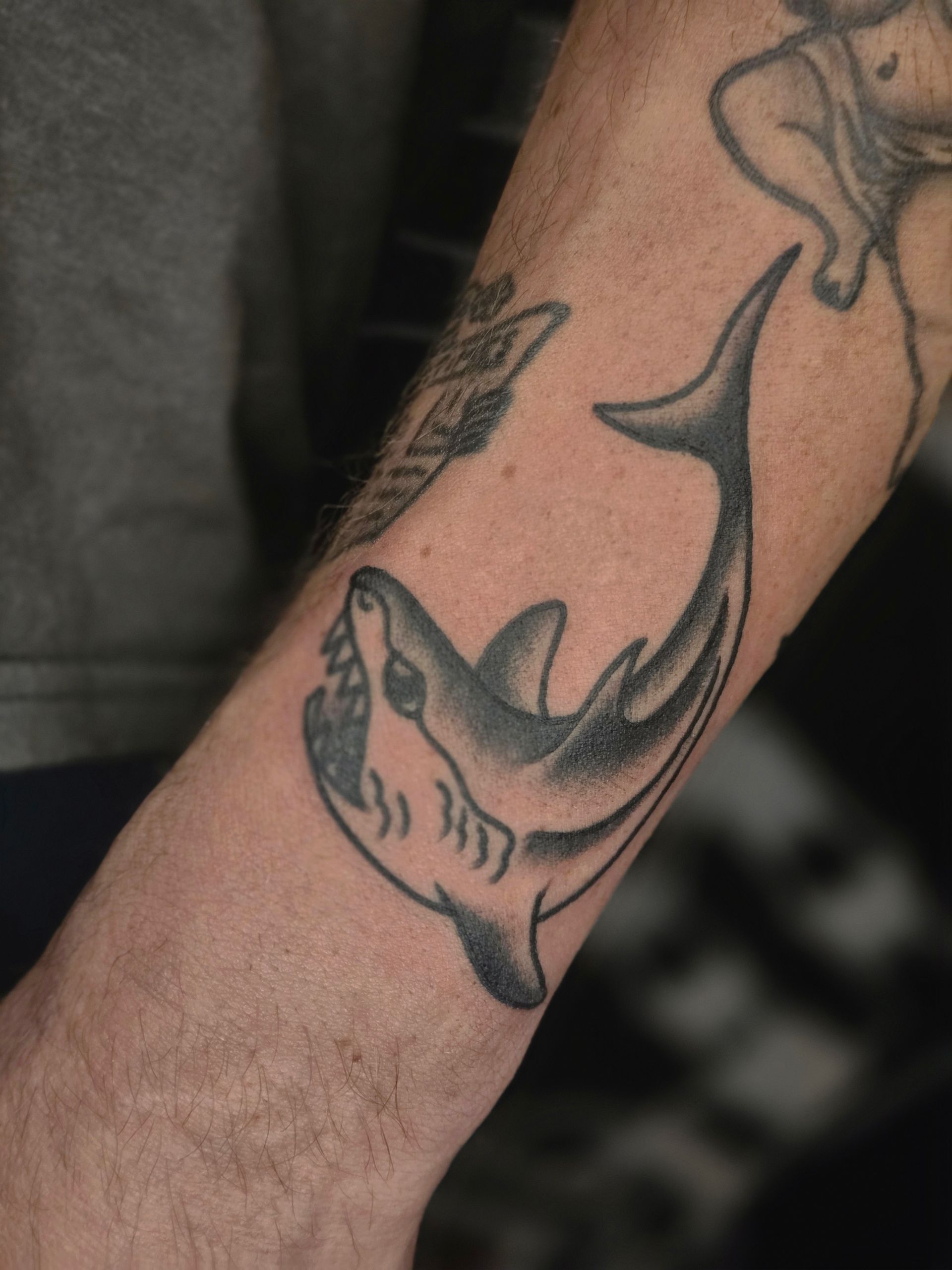 Shark tattoo on a forearm, shaded in black and gray. The shark is smiling and has visible teeth.