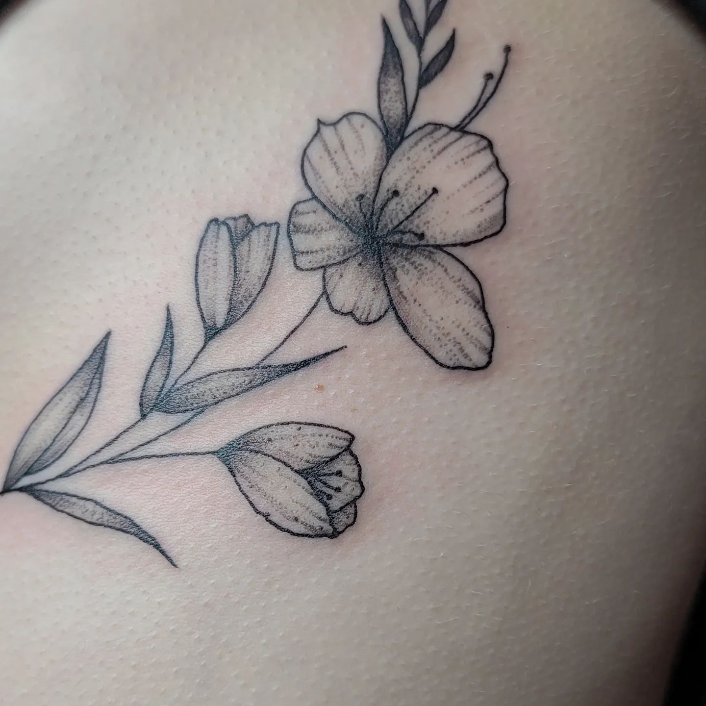 Tattoo by Tai Adashino