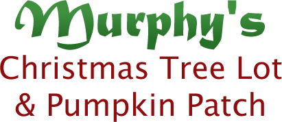 Murphy's Christmas Tree Lot & Pumpkin Patch logo