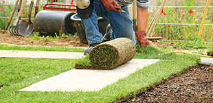 Man laying installing sod in the soil