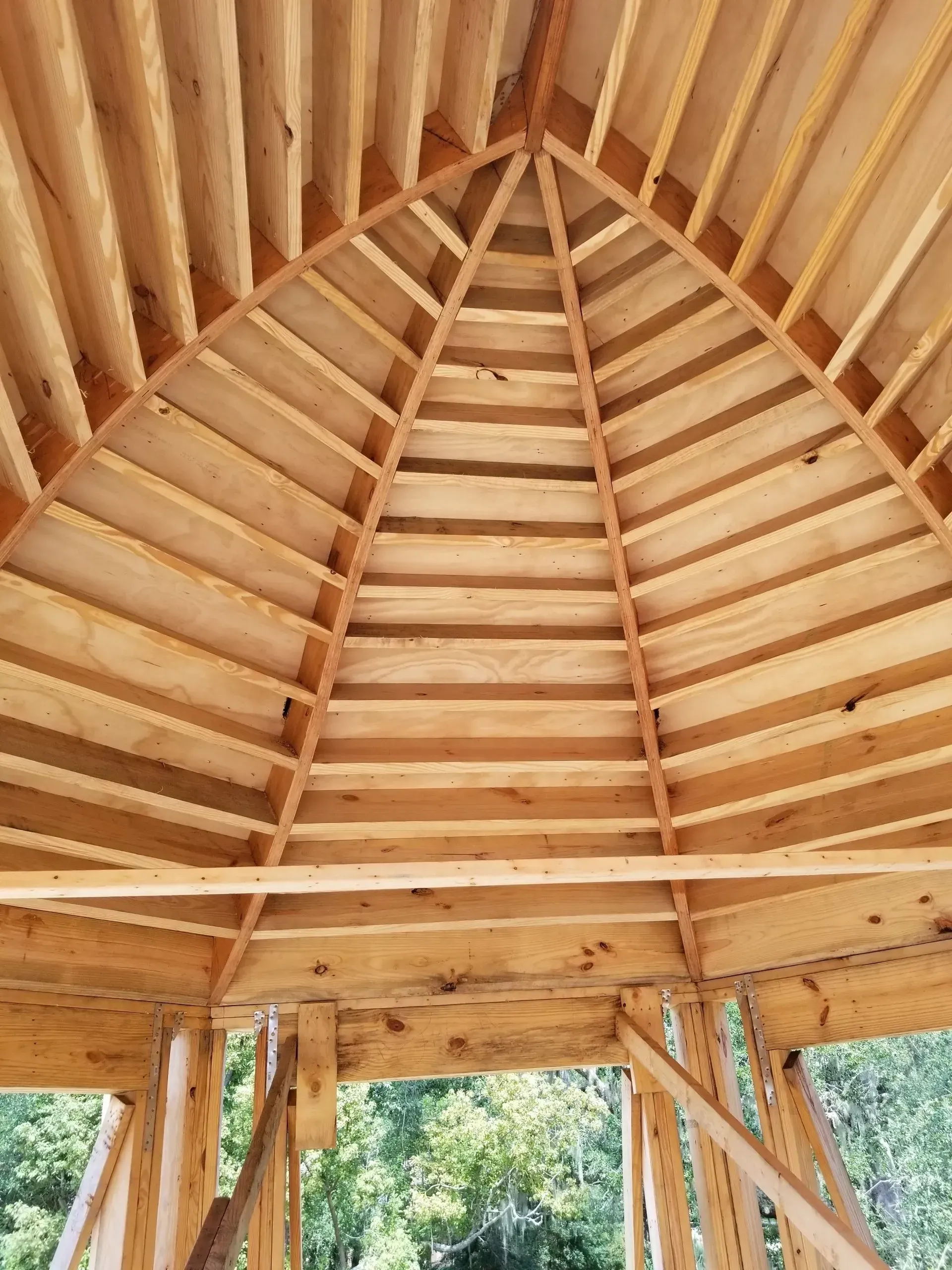 Wooden pavilion ceiling with exposed rafters and a circular skylight opening above trees.