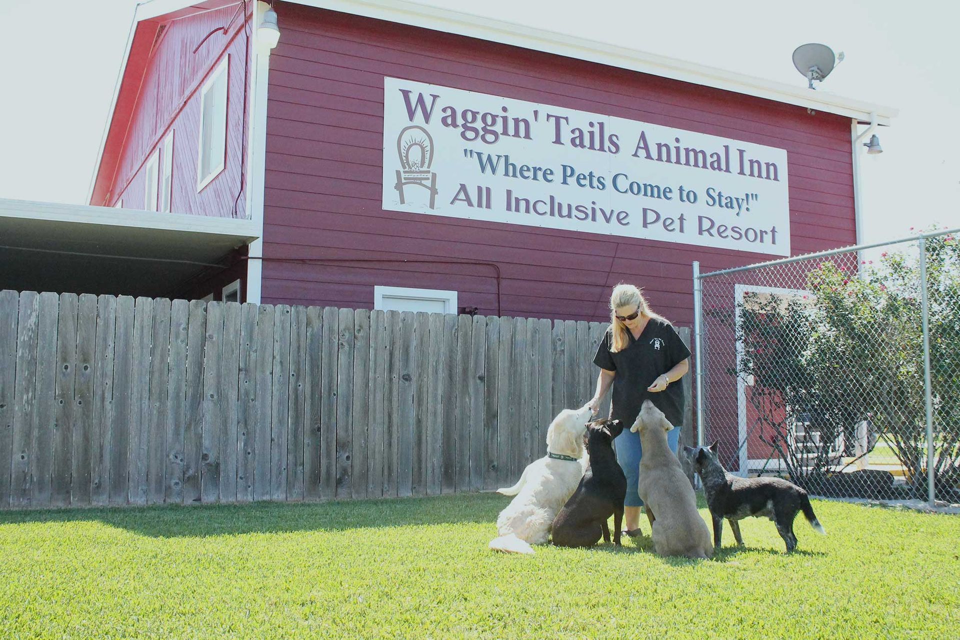 Waggin' Tails Animal Inn