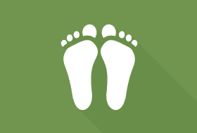 Foot