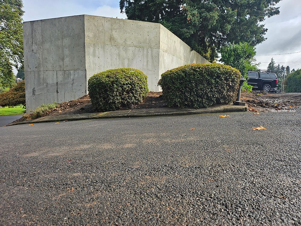 Two green bushes in front of a concrete wall and asphalt ground, cloudy day.