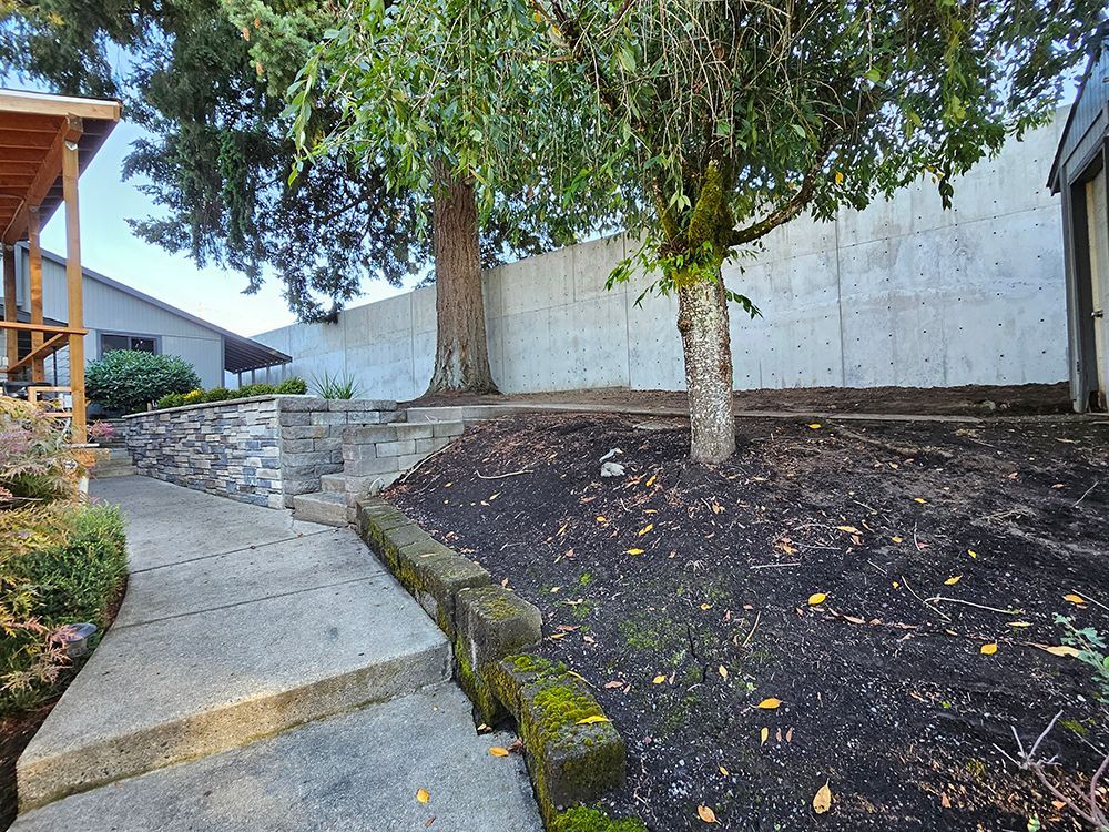 A concrete pathway leads to a tiered yard with a large tree and a concrete wall backdrop.