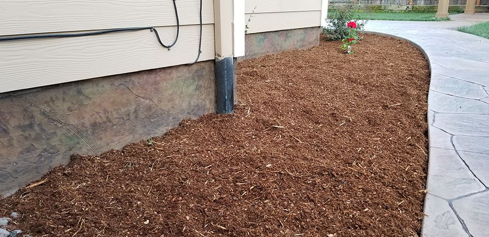 A flower bed with wood chips borders a concrete path and building.