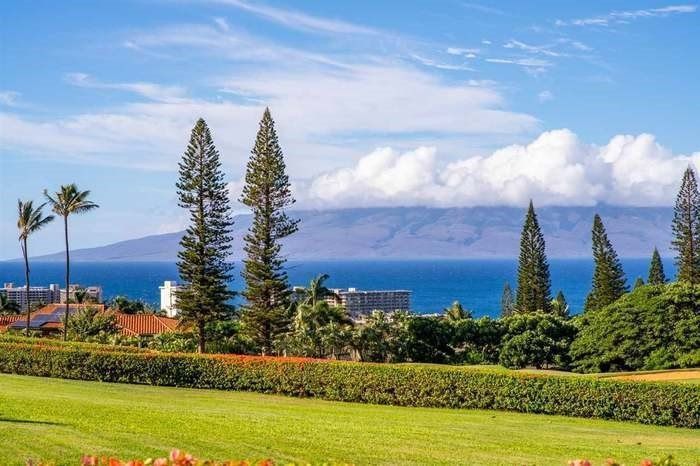 A lush green field with a view of the ocean and mountains in the background.