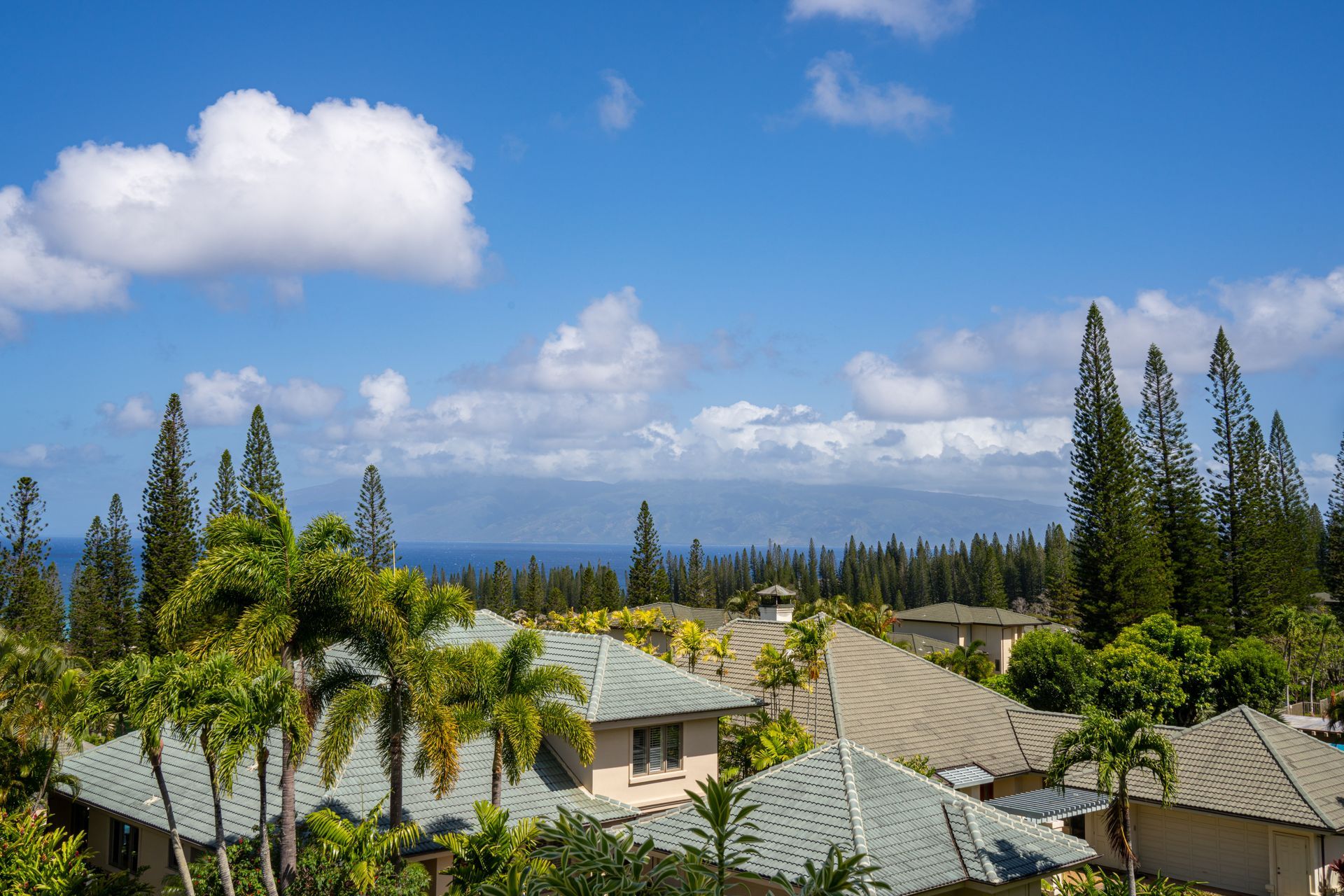 A group of houses surrounded by palm trees and trees with a view of the ocean.