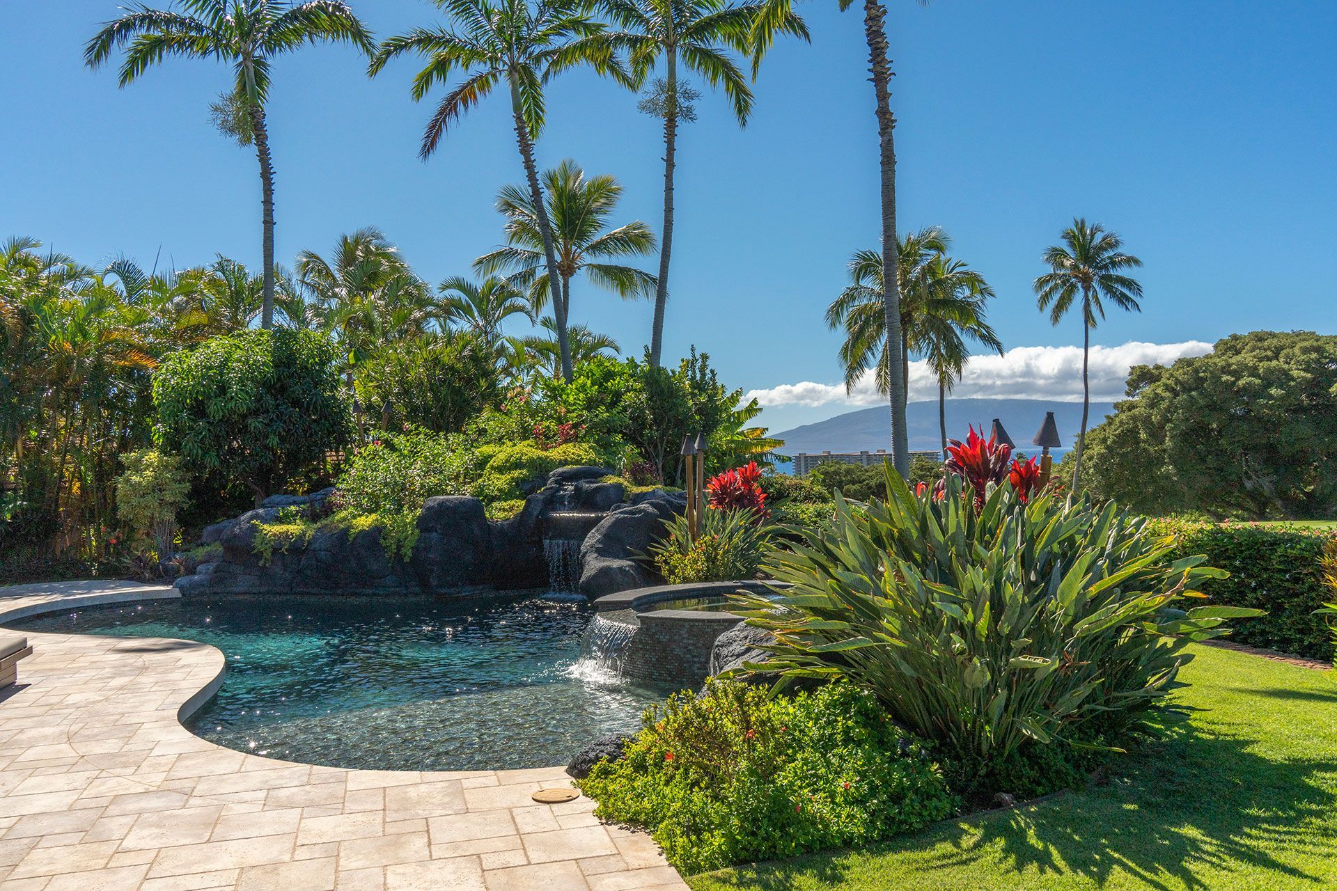 A large swimming pool surrounded by palm trees on a sunny day