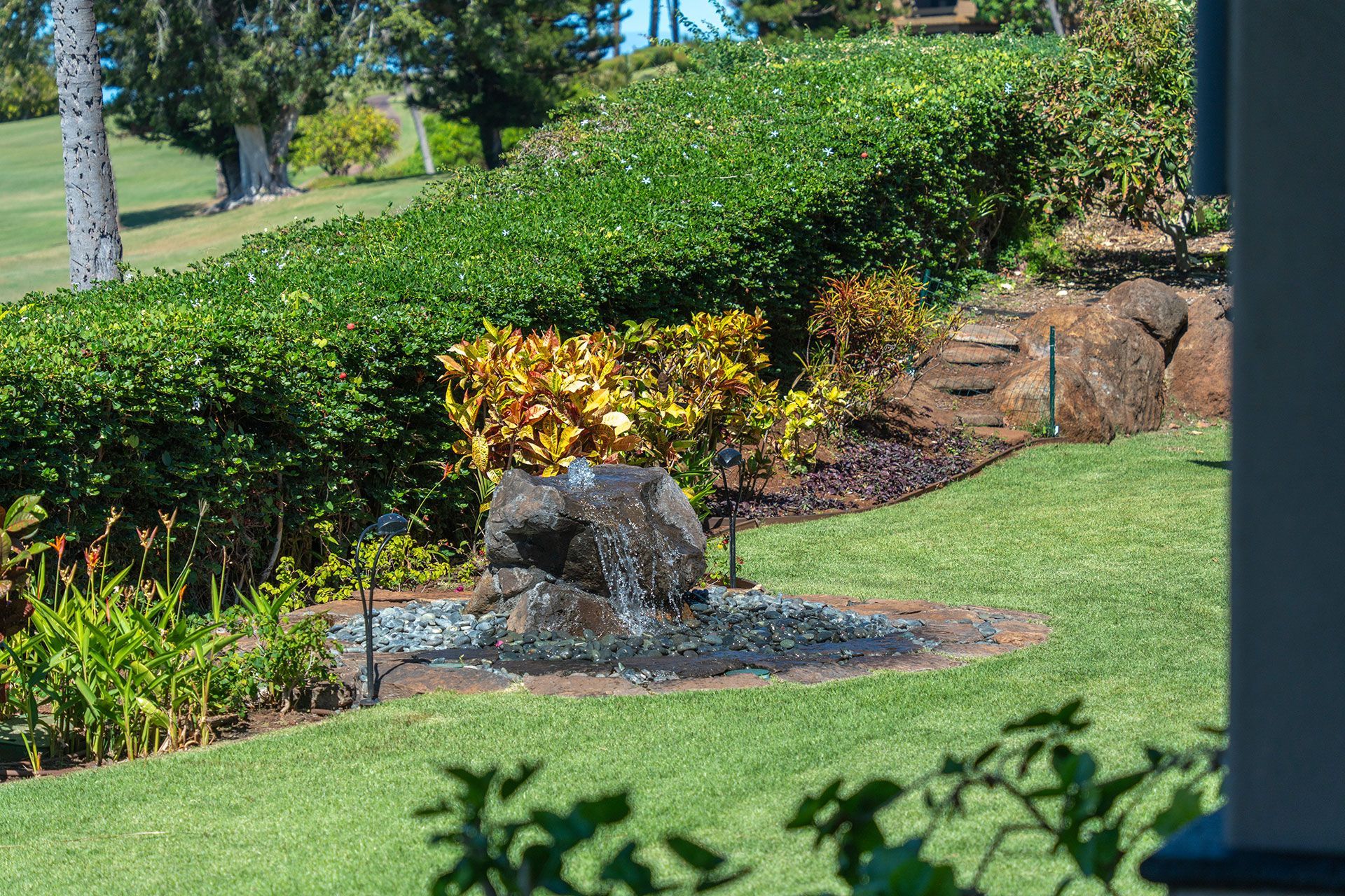 There is a fountain in the middle of a lush green field