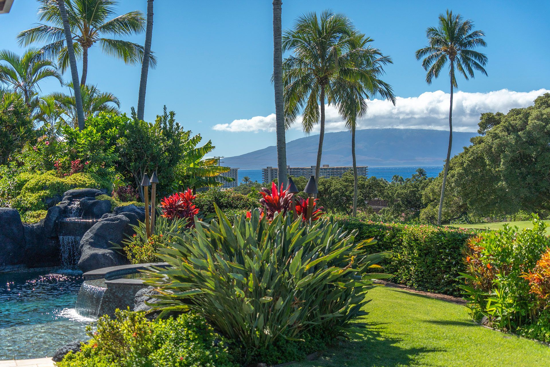 There is a waterfall in the middle of a lush green garden