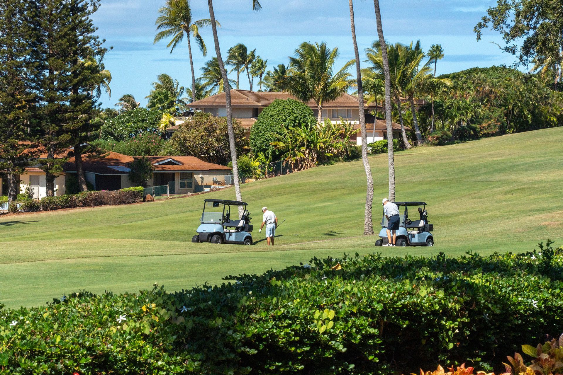 A couple of golf carts are parked on a golf course