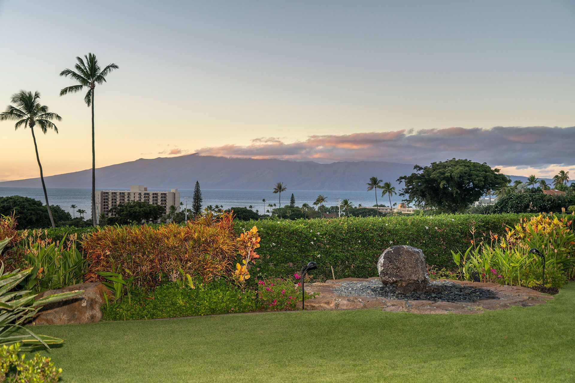 A lush green field with palm trees and mountains in the background