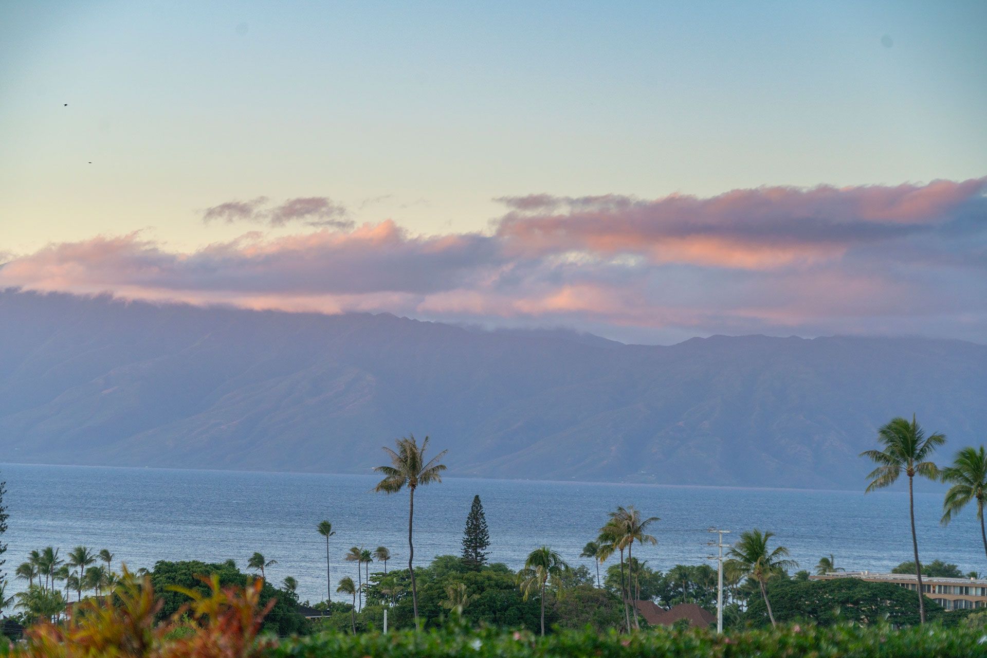 A view of the ocean at sunset with palm trees in the foreground and mountains in the background.