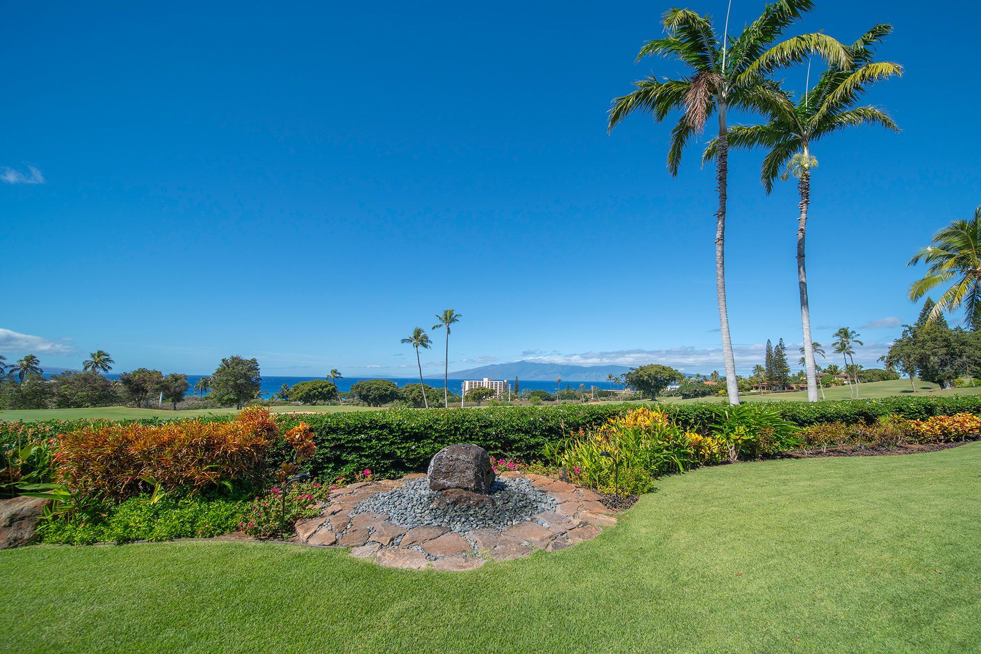 A lush green lawn with palm trees and a view of the ocean