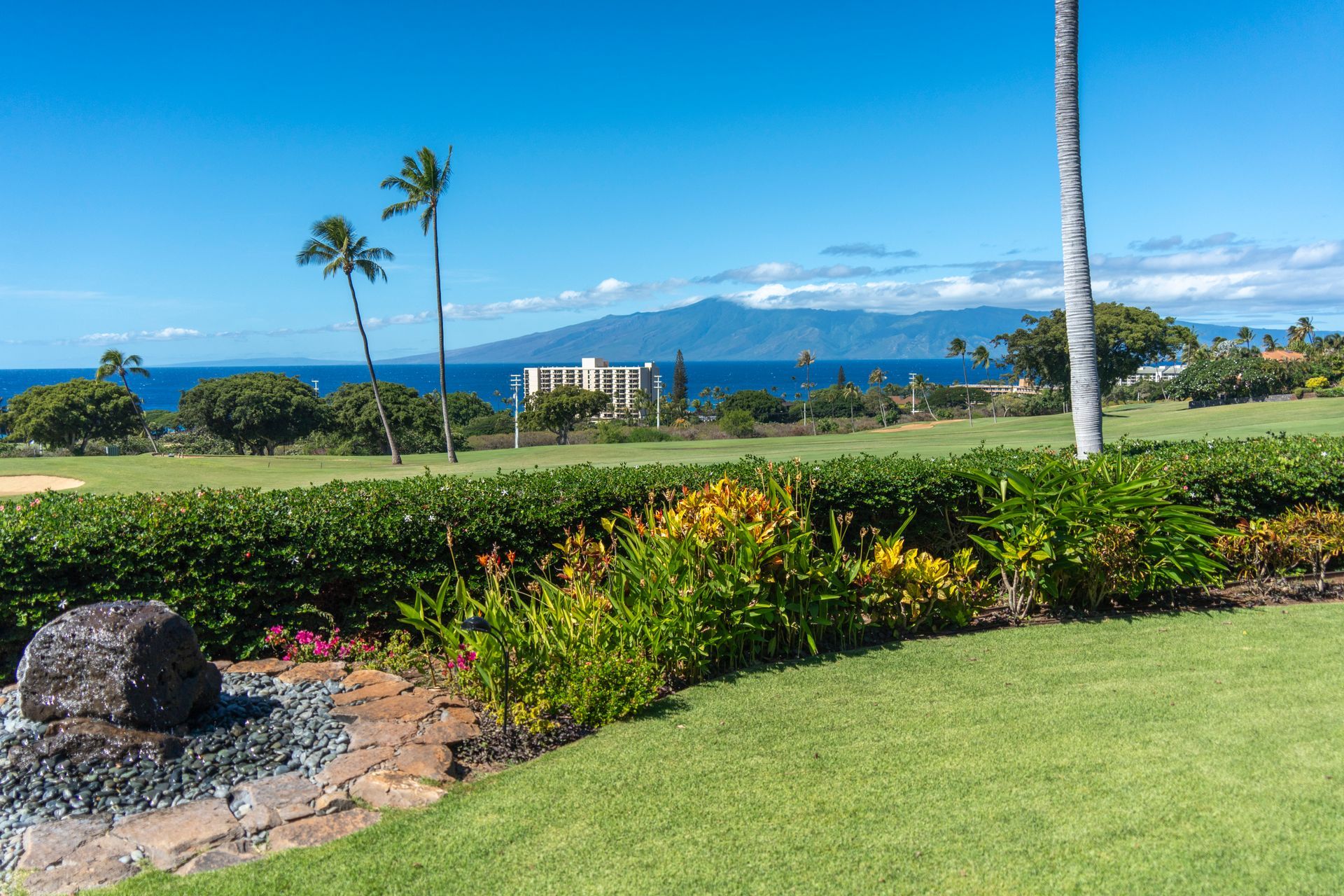 A lush green lawn with a view of the ocean and mountains.