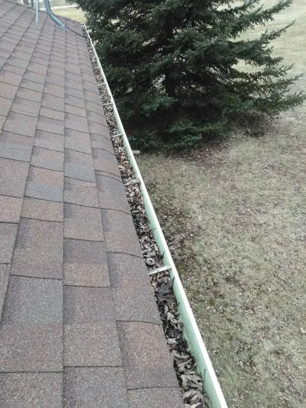 Gutters and gutter guard