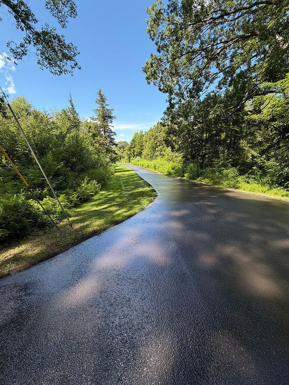 Sunlit road curving through dense green trees under a clear blue sky after