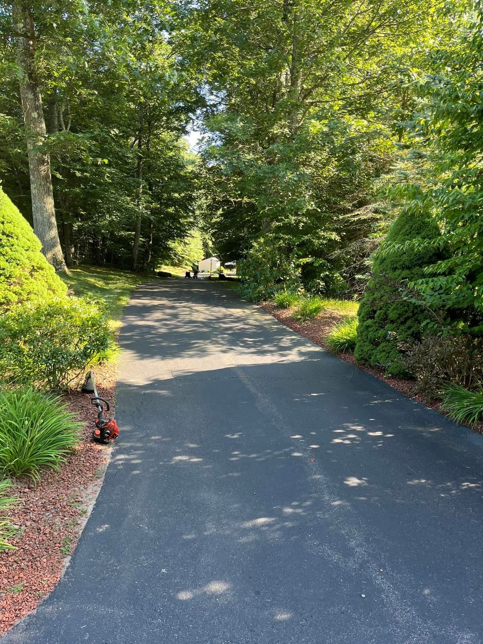 An asphalt driveway slopes upward through a lush, sunlit forest with green trees on both sides.