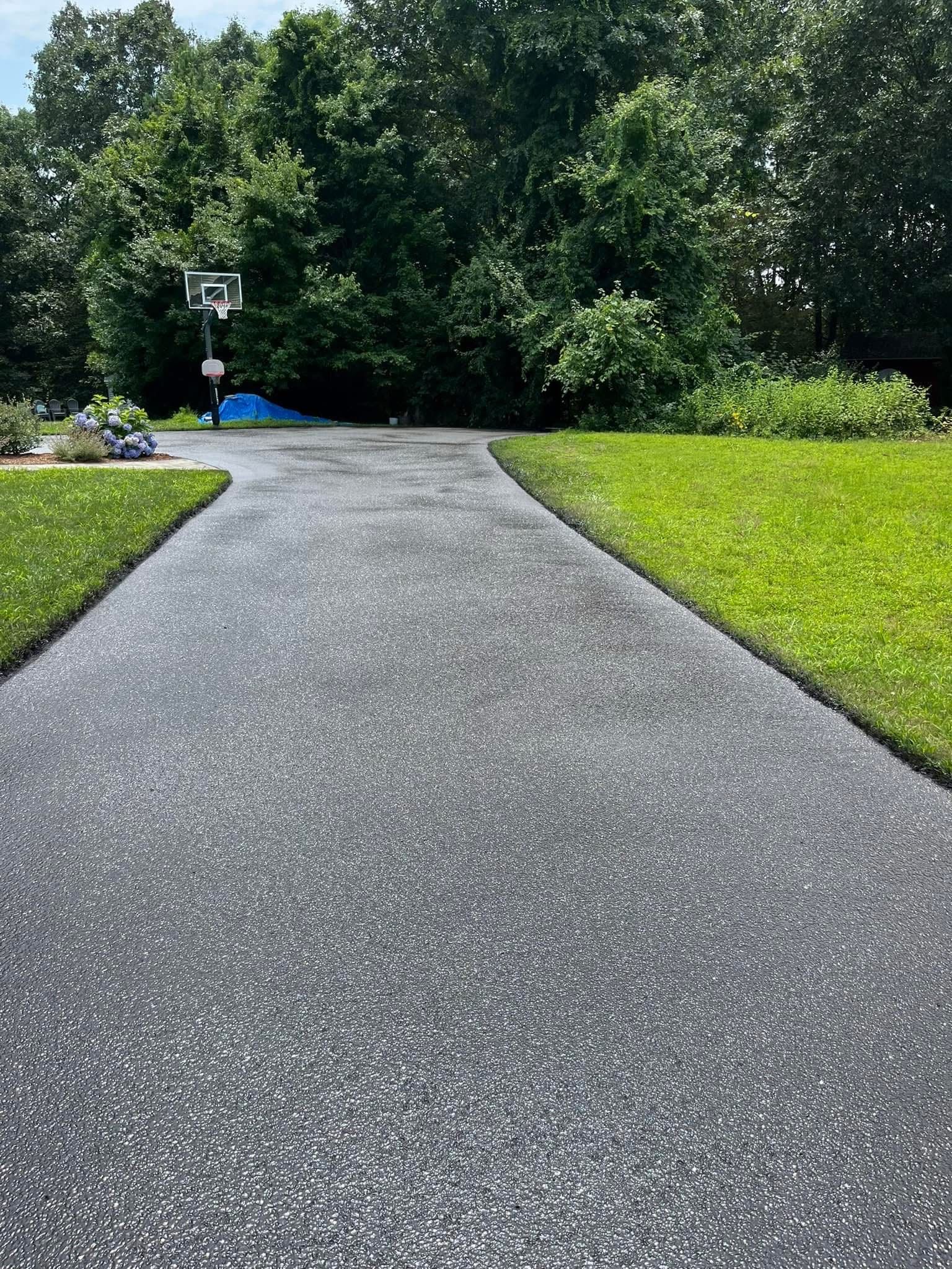 A paved driveway leads to a basketball hoop positioned in front of a dense, green treeline, flanked by lawns on both sides.