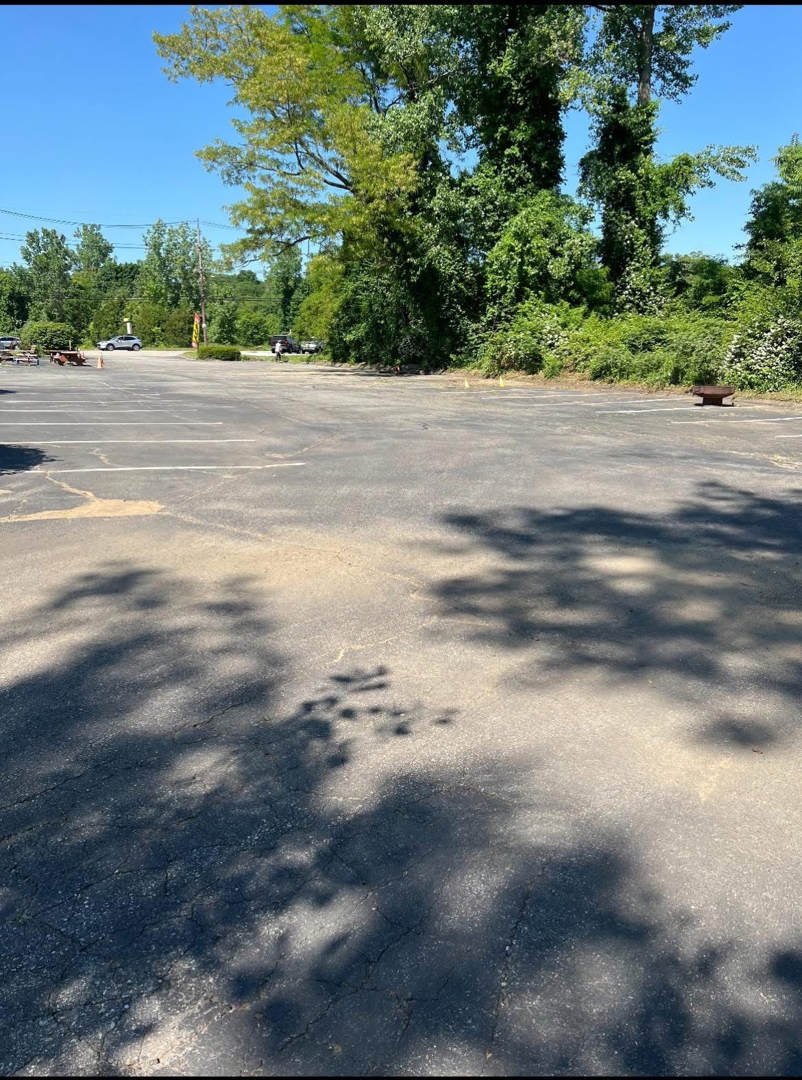 A paved parking lot with faded white lines, surrounded by lush green trees under a bright blue sky.