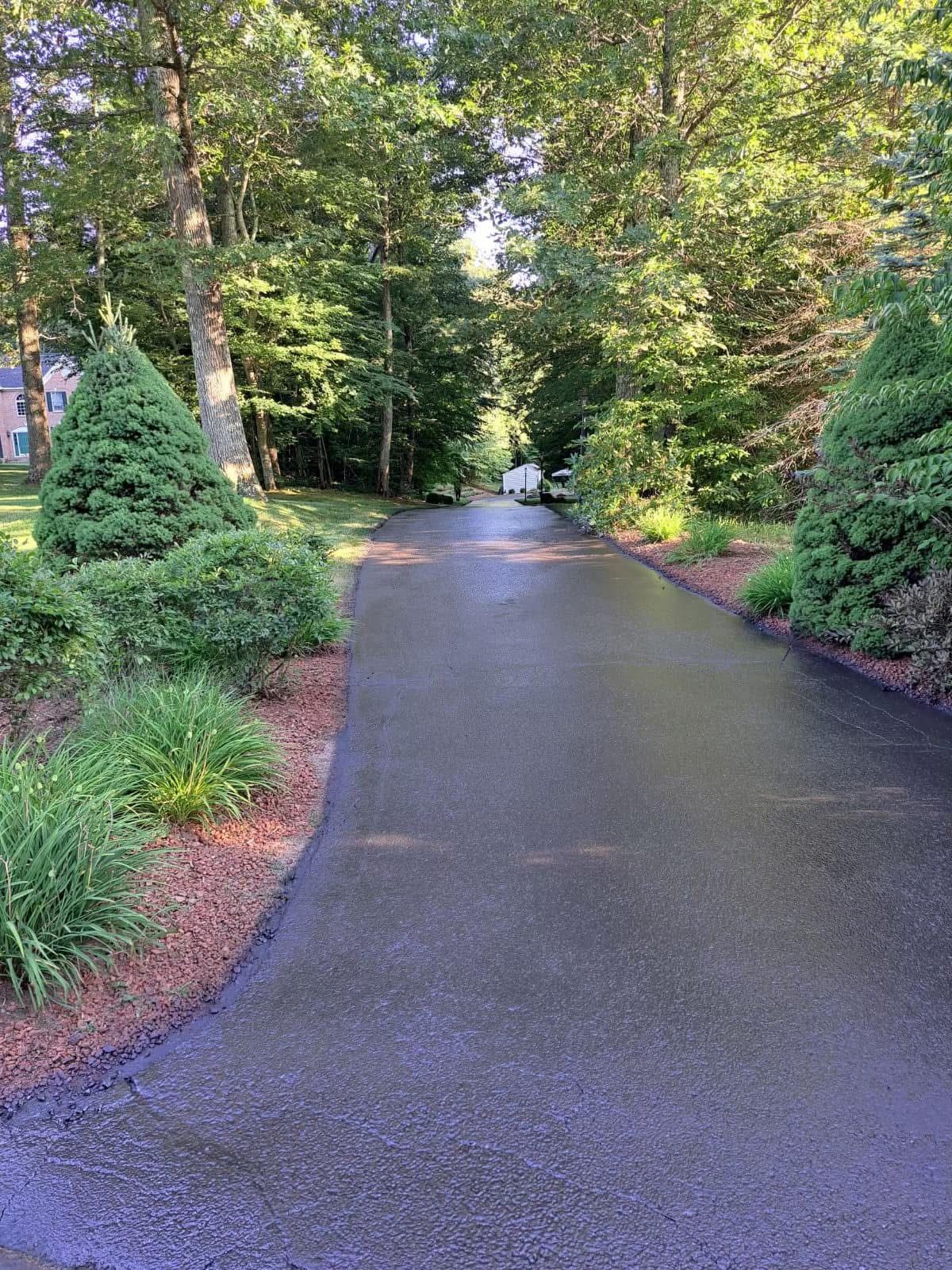 A freshly paved, dark asphalt driveway leads through a lush, green wooded residential area with manicured shrubs.