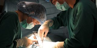 Two veterinarian surgeons in operating room