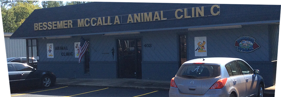 Bessemer McCalla Animal Clinic