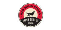 Irish Setter