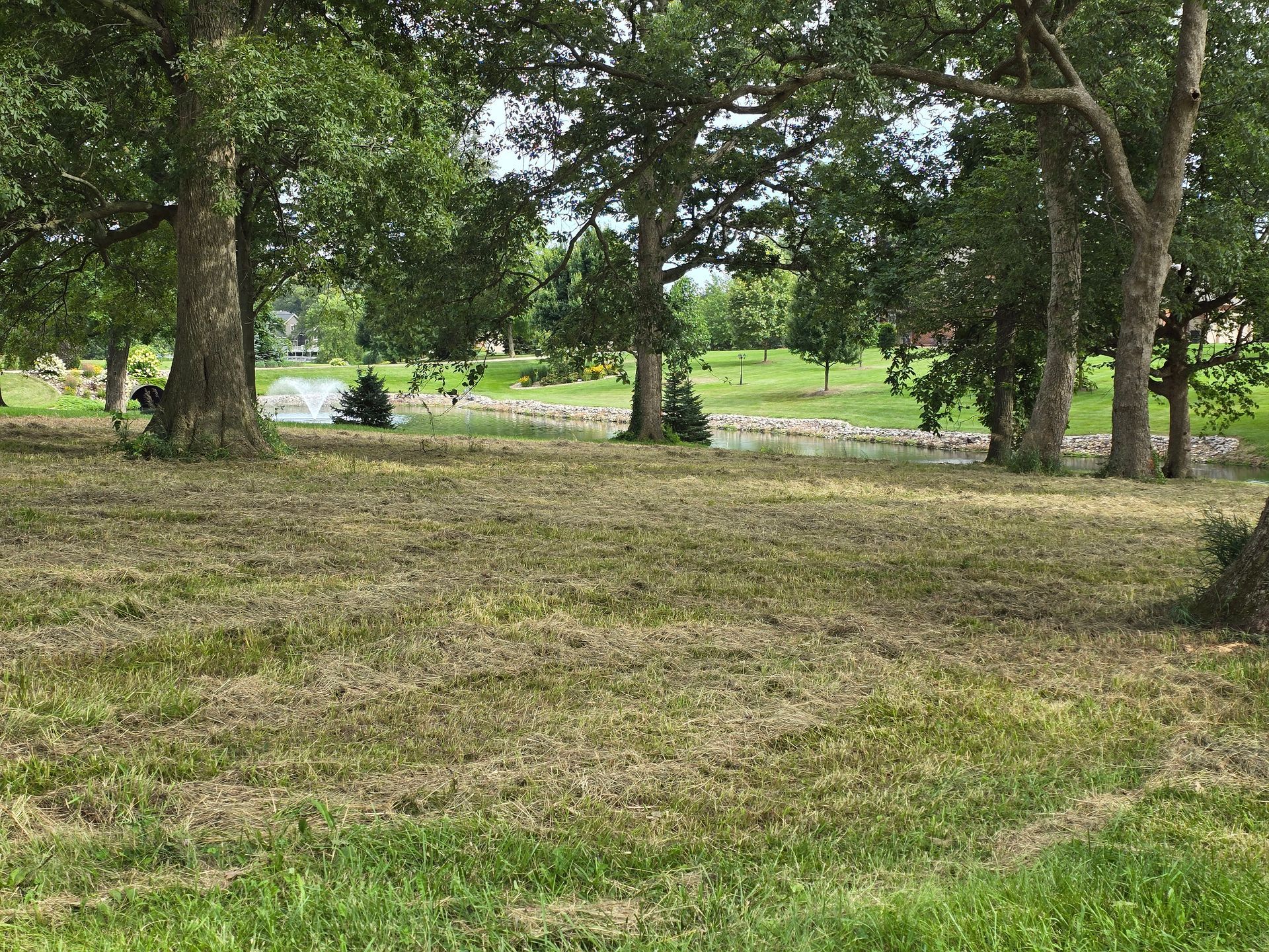A grassy field with trees in the background in a park.