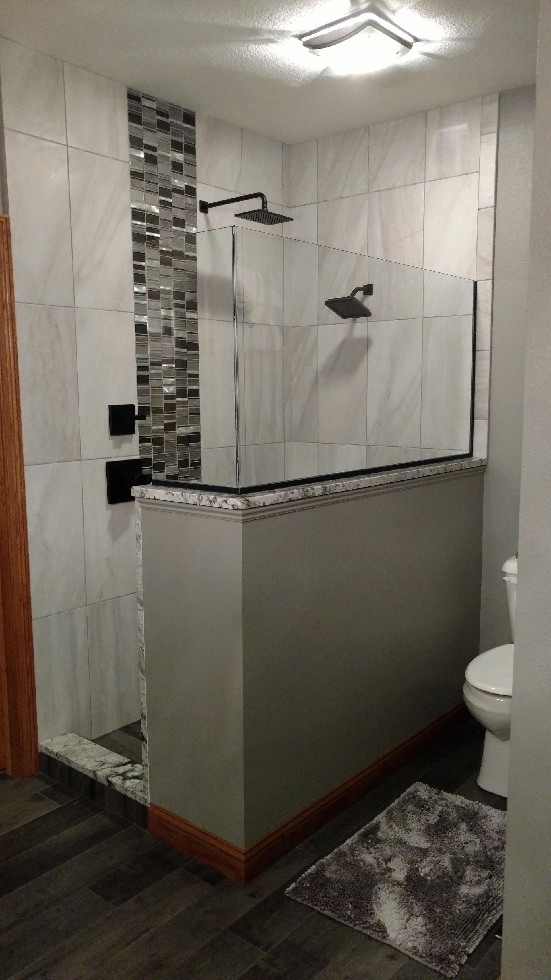 A bathroom with a walk in shower and a toilet.