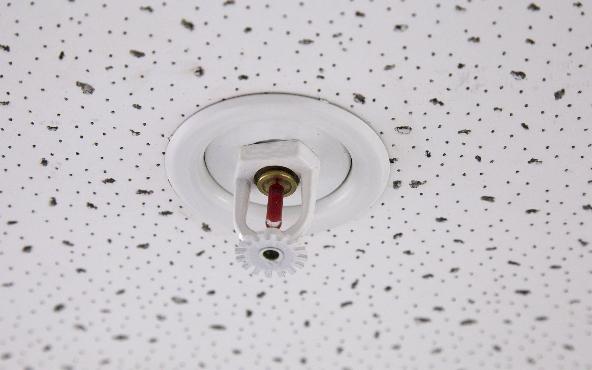 Fire sprinkler