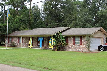 University / schools