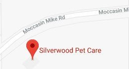 silverwood pet care superior wi