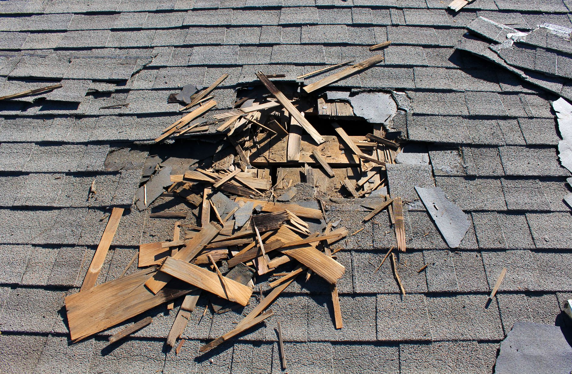 local roofer