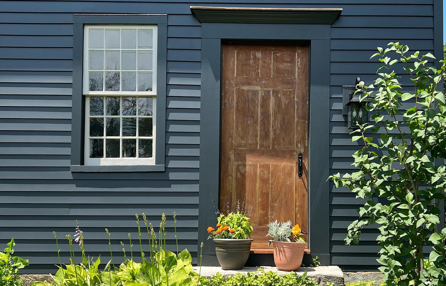 Blue house with a brown door, white window, and potted plants; greenery in foreground.