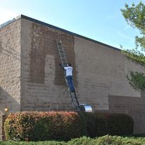 Person on a ladder pressure washing a brick wall. The wall is beige with some cleaned areas. A bush is in the foreground.