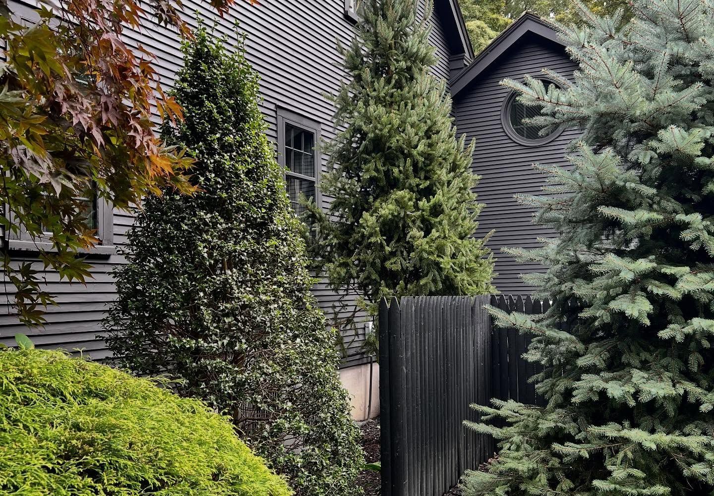 Dark-painted house with various evergreen trees, some with black fence. Autumn leaves add color.