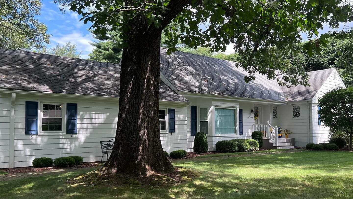 White house with a dark roof and blue shutters, large tree in front.