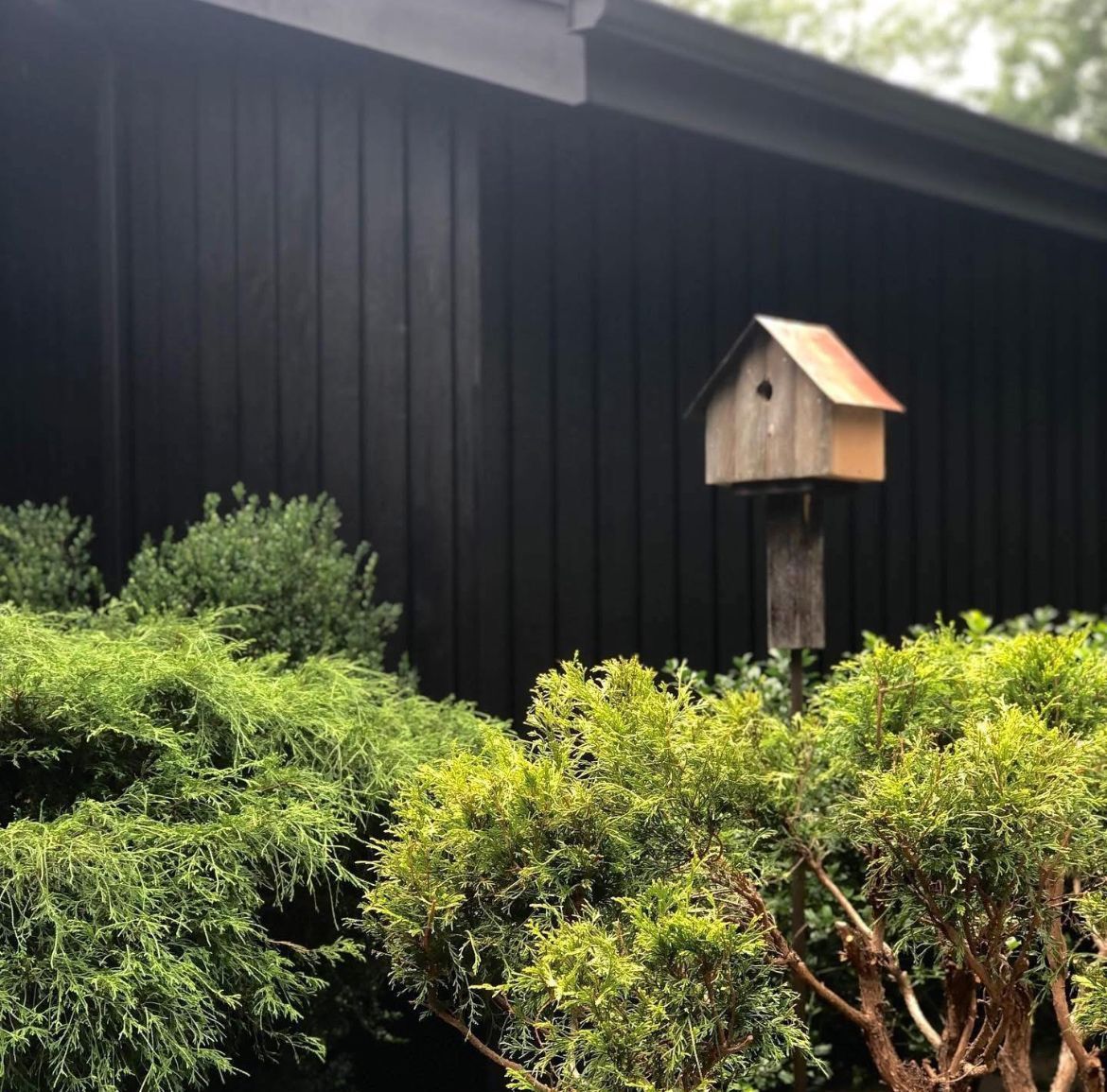 A weathered birdhouse on a post sits in front of a dark building and green bushes.