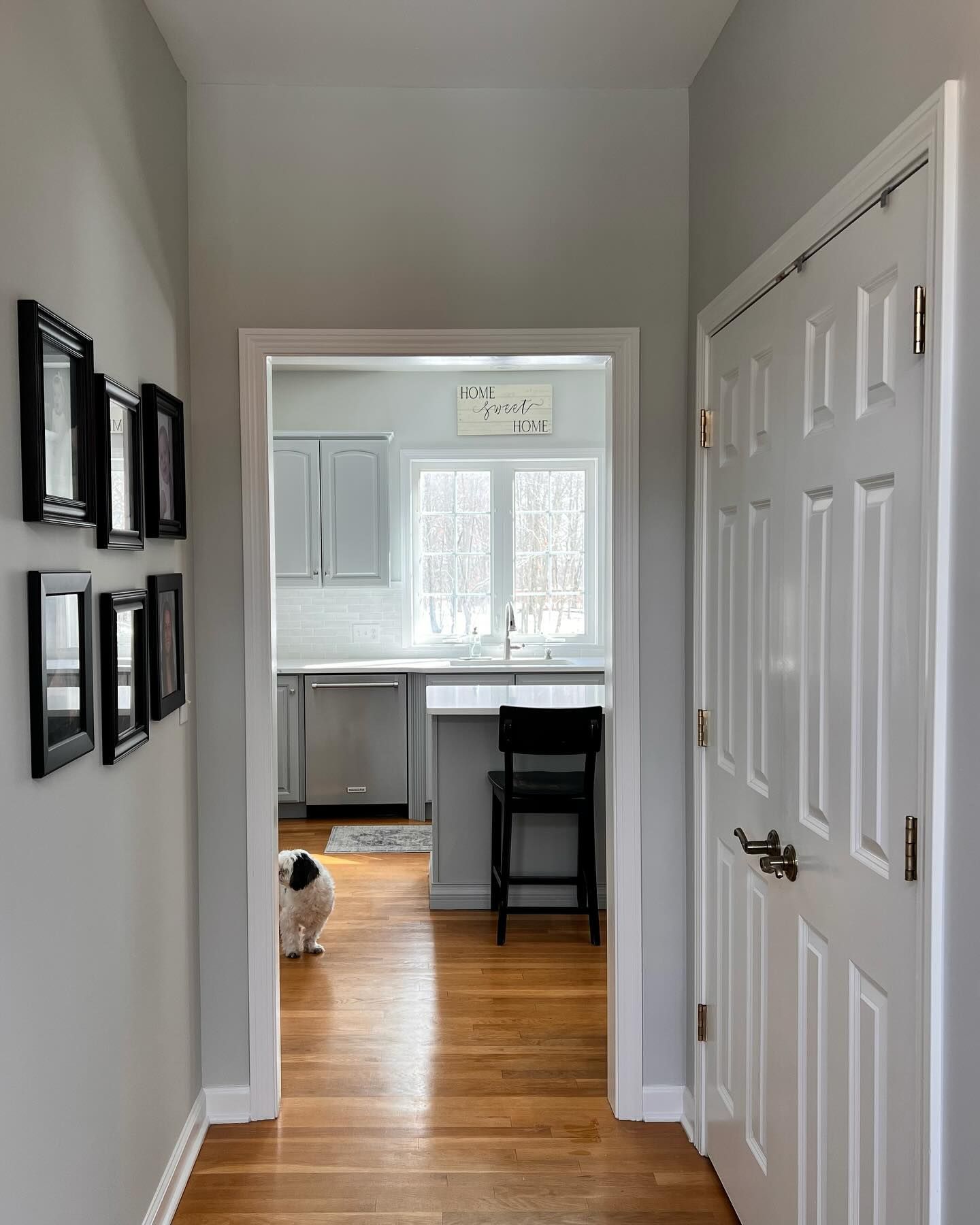 Hallway with framed art, leading to a kitchen with a small dog visible. Brightly lit, hardwood floors.