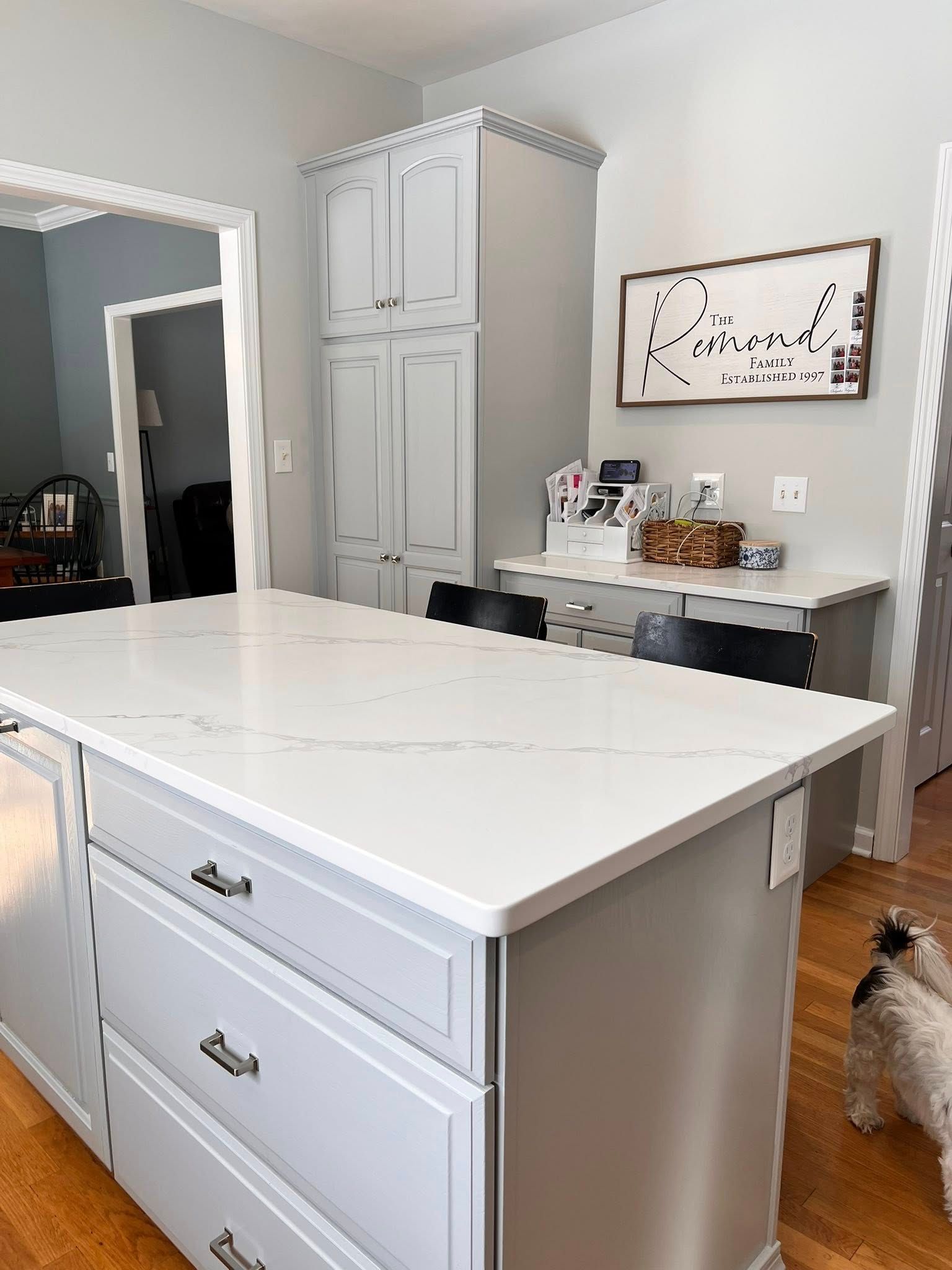 Kitchen with a light-colored island and cabinets, a white countertop, and a small dog.