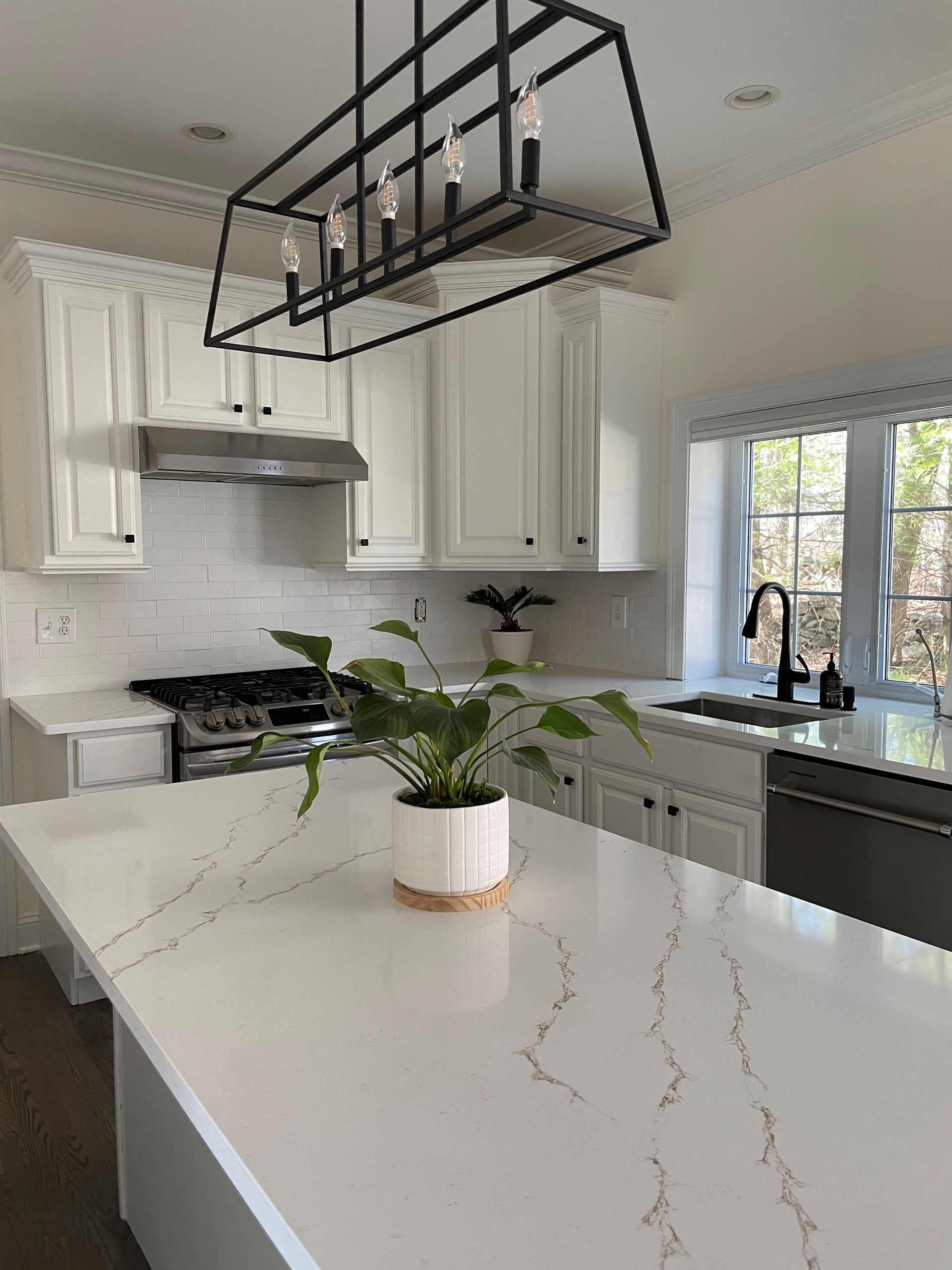 A kitchen with white cabinets and a plant on the counter.