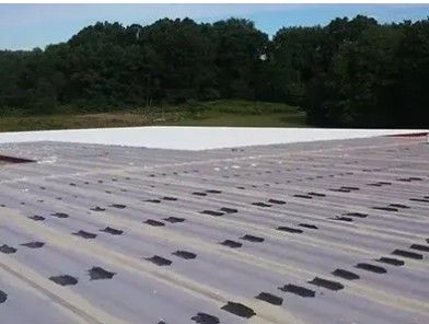 Flat rooftop with white membrane and dark vents, bordered by trees under a cloudy sky